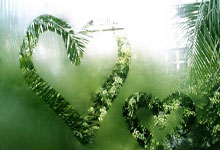 Leyu-欧篮联赛程吃紧；托特纳姆国际比赛日扳平良机；态度坚定；训练强度明显提升(托特纳姆热刺大球场)